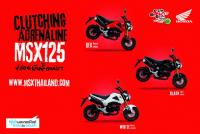 image Honda MSX125 ฮอนด้าเอ็มเอสเอ็ก